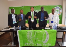 Greens united in Central Africa